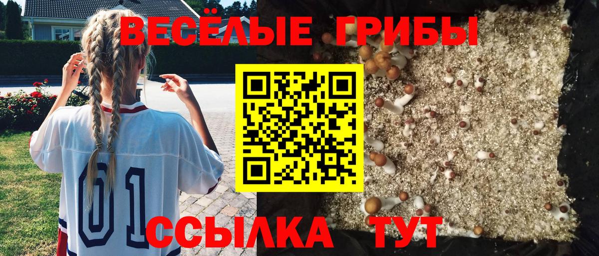 Псилоцибиновые грибы прущие грибы  Вход с VPN  где найти наркотики  Заречный 