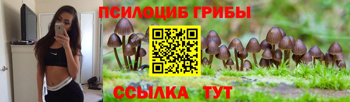 Псилоцибиновые грибы GOLDEN TEACHER Заречный